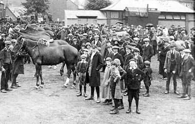 Horse Requisition